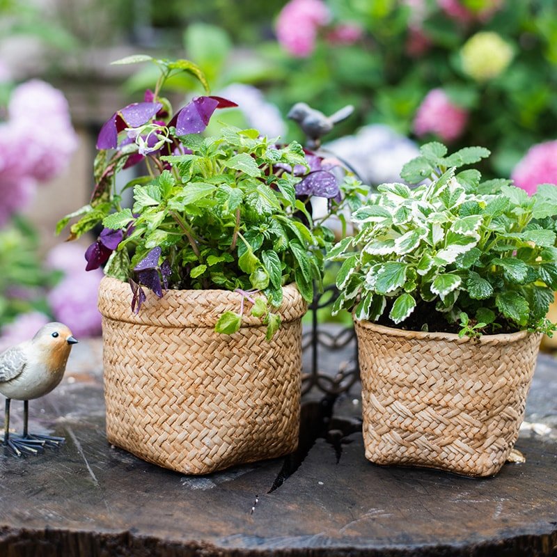 Jardinière en béton style panier en osier