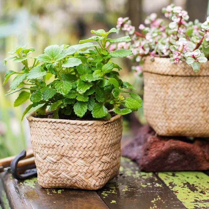 Jardinière en béton style panier en osier