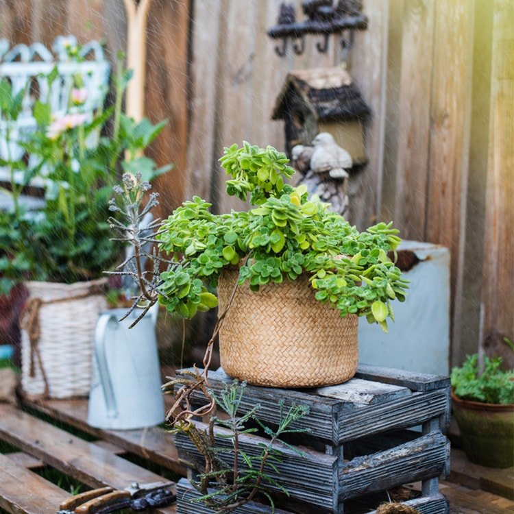 Jardinière en béton style panier en osier