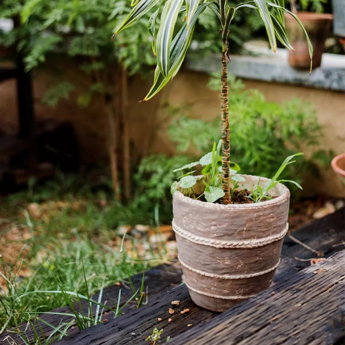 Vaso Tasha in terracotta rossa