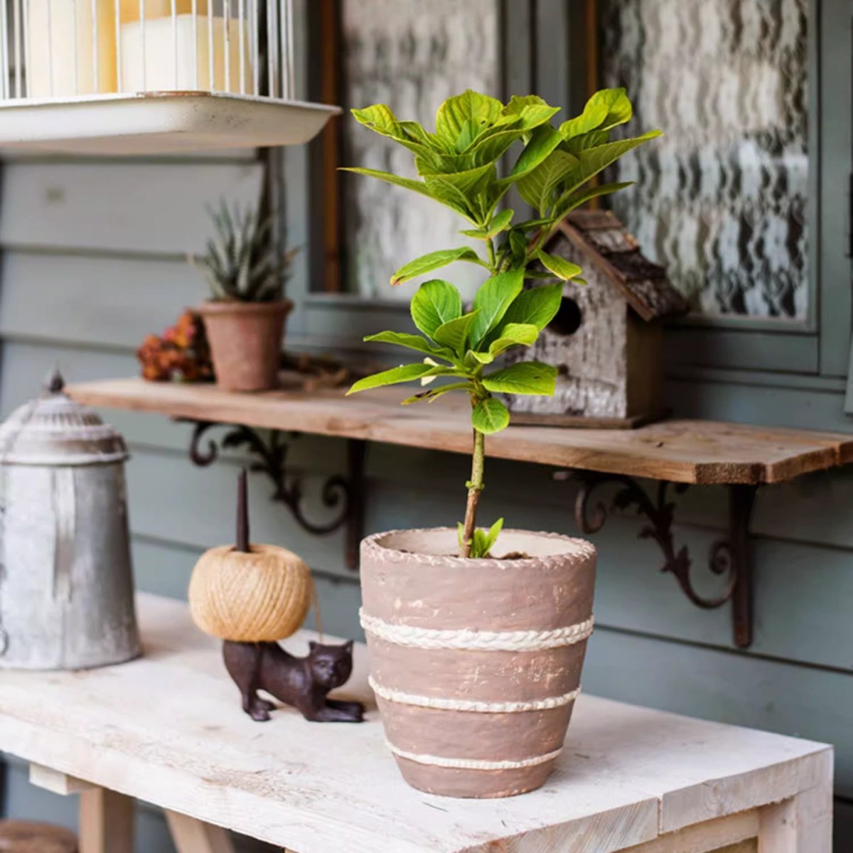 Vaso Tasha in terracotta rossa