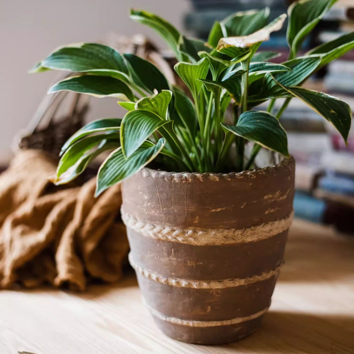 Vaso Tasha in terracotta rossa