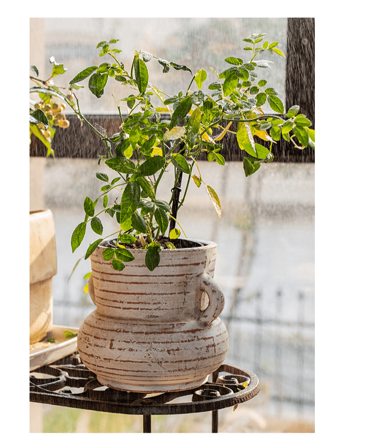 Vase jardinière en terre cuite avec anses
