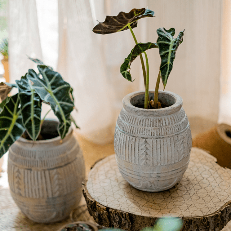 Jardinière en terre cuite Yukun en grès