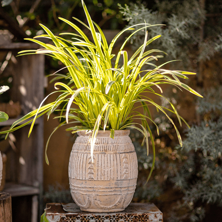 Jardinière en terre cuite Yukun en grès