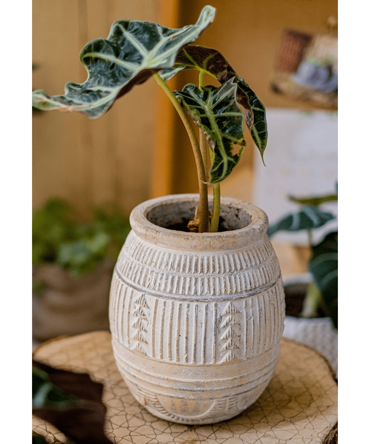Jardinière en terre cuite Yukun en grès