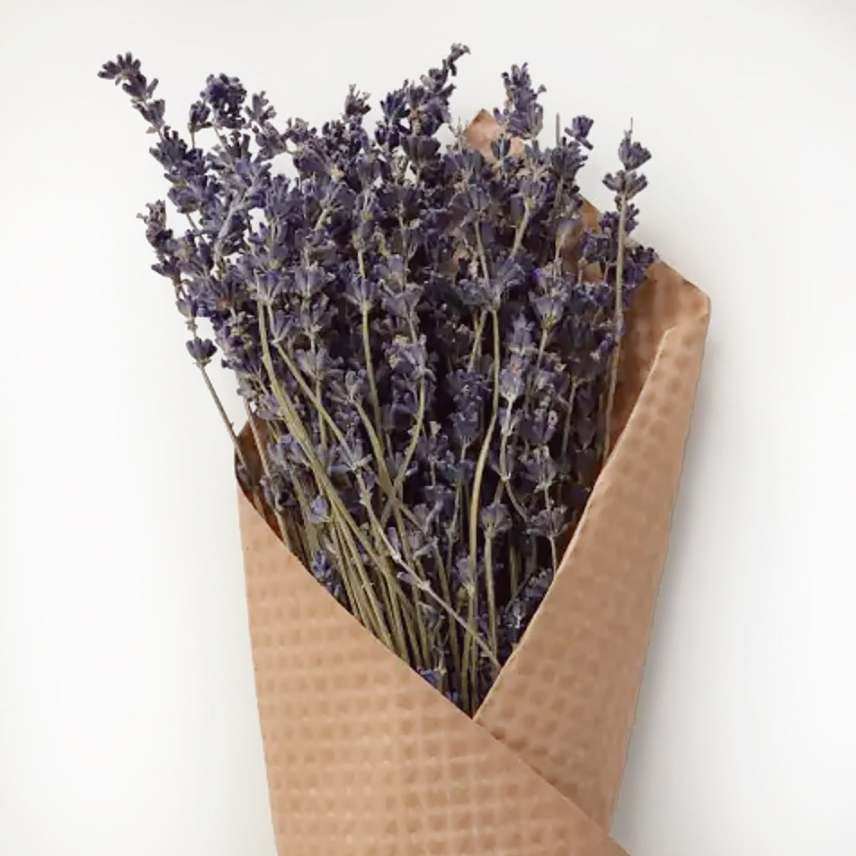 Bouquet de lavande française
