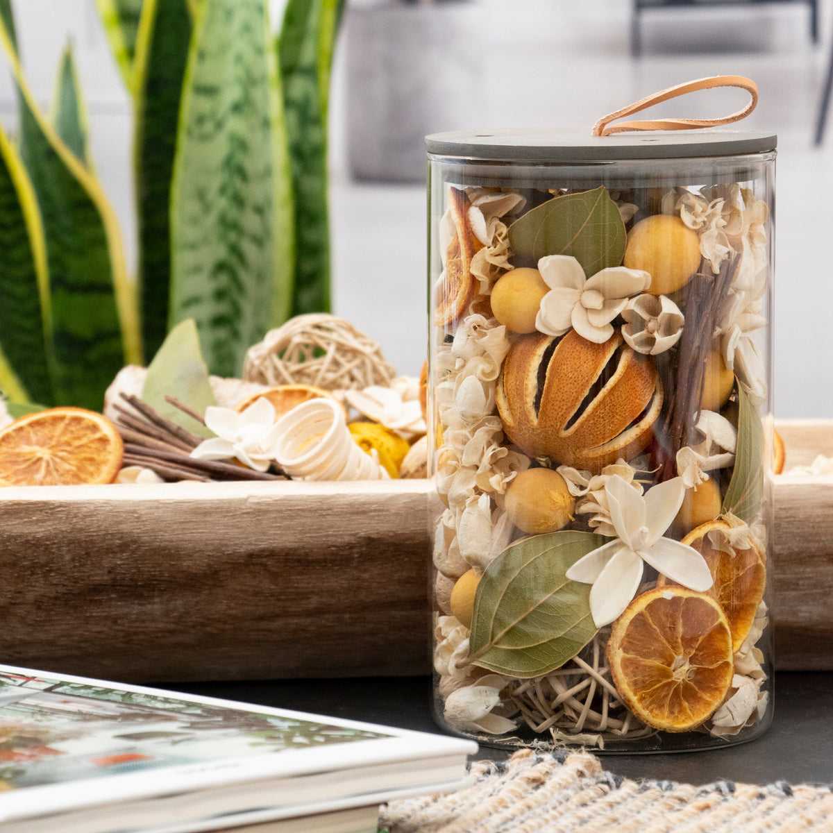 Pot-pourri en pot Zeste de citron et thym