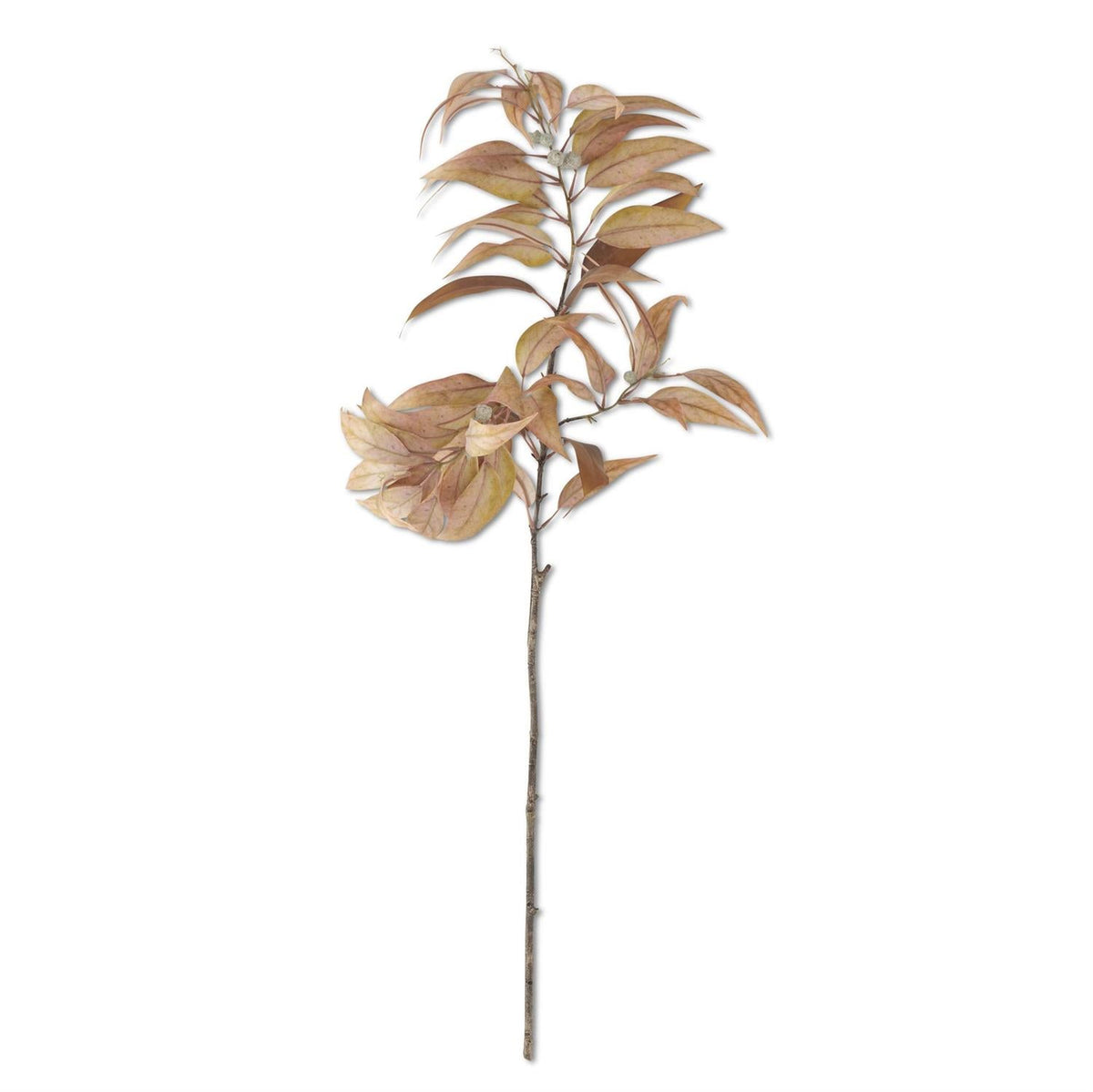 Light Yellow Eucalyptus Branch with Pods – 48"