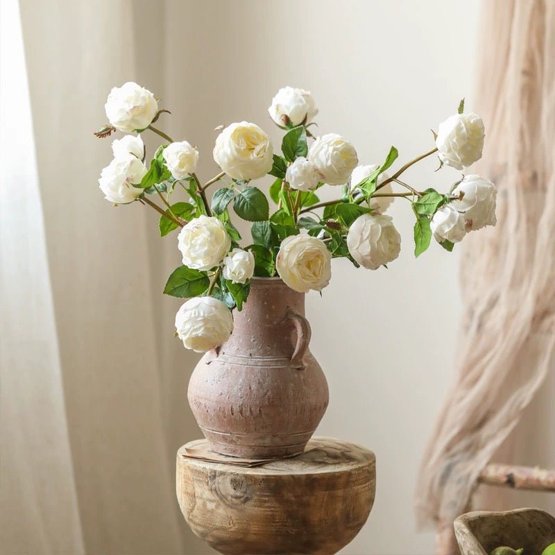 Gambo di rosa cavolo bianca, altezza 52,8 cm