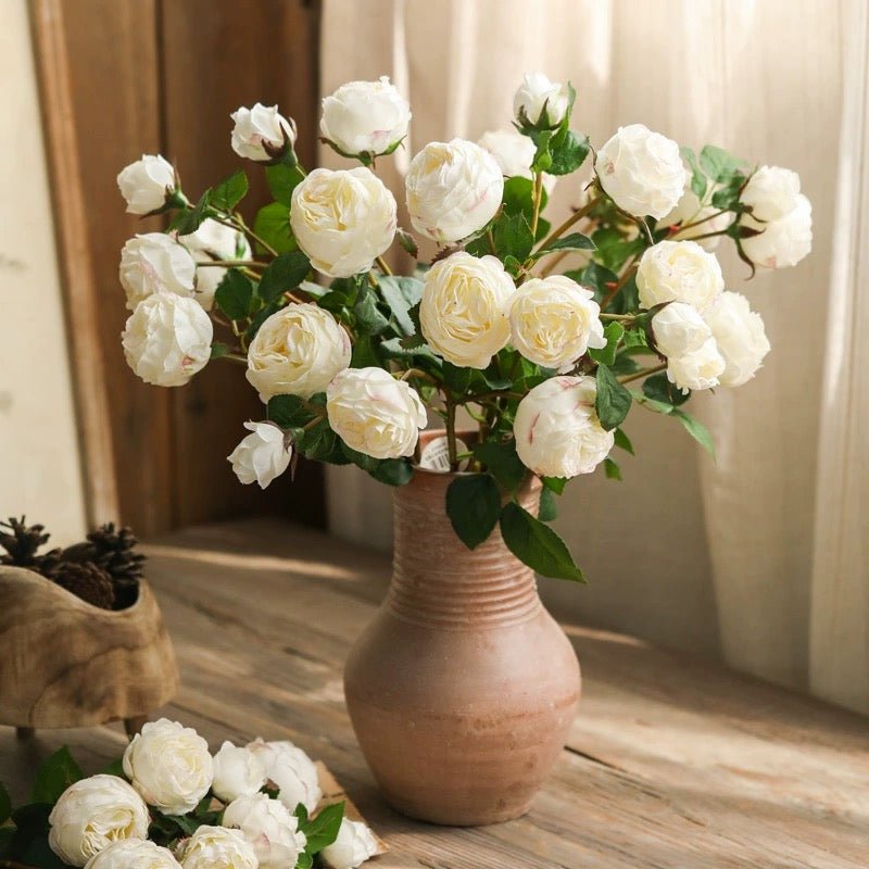 Gambo di rosa cavolo bianca, altezza 52,8 cm
