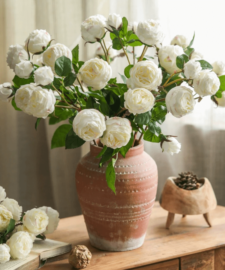 Gambo di rosa cavolo bianca, altezza 52,8 cm