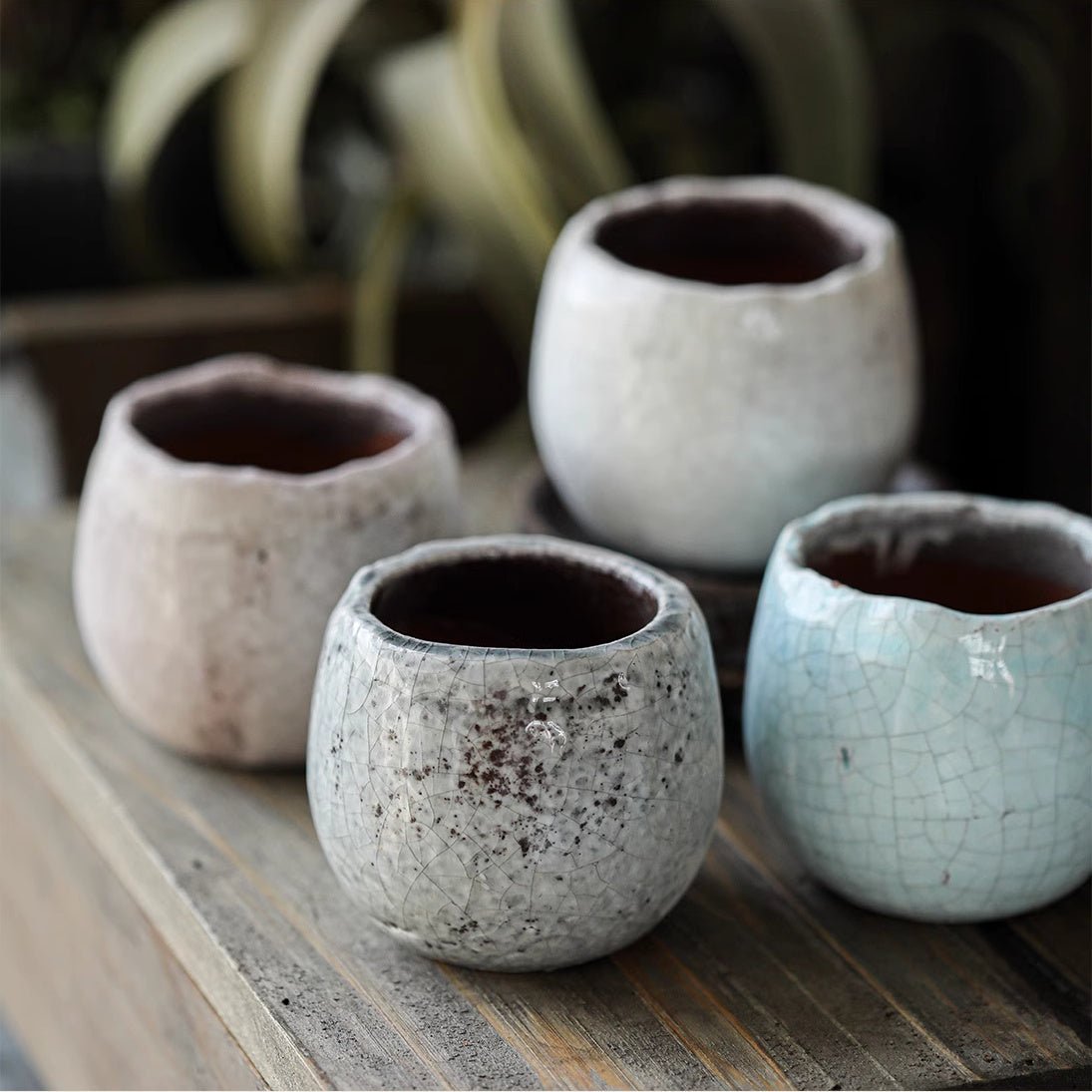 Set di 5 vasi per succulente in ceramica craquelé scelti casualmente