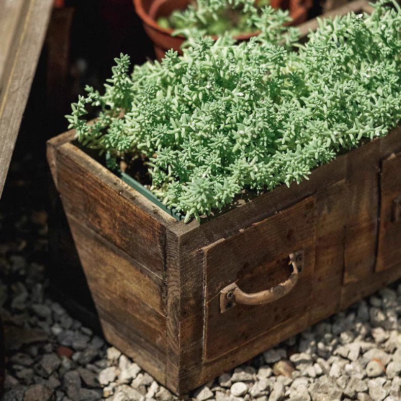 Cassetta in legno stile rustico per piante grasse o fiori