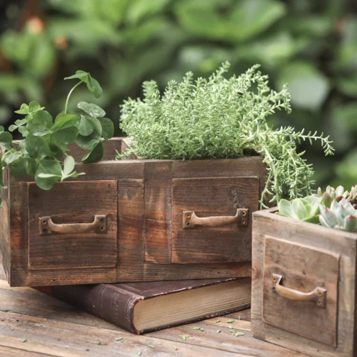 Cassetta in legno stile rustico per piante grasse o fiori
