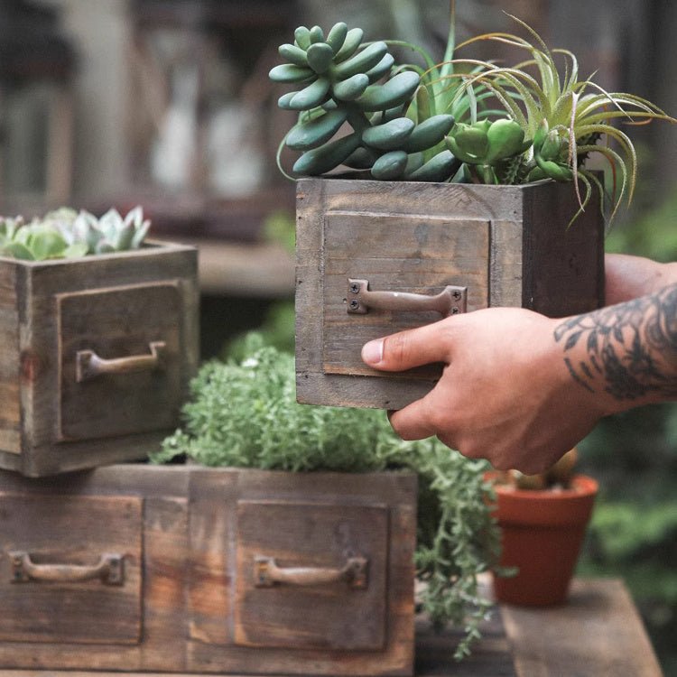 Cassetta in legno stile rustico per piante grasse o fiori