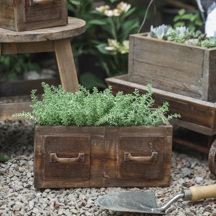 Cassetta in legno stile rustico per piante grasse o fiori