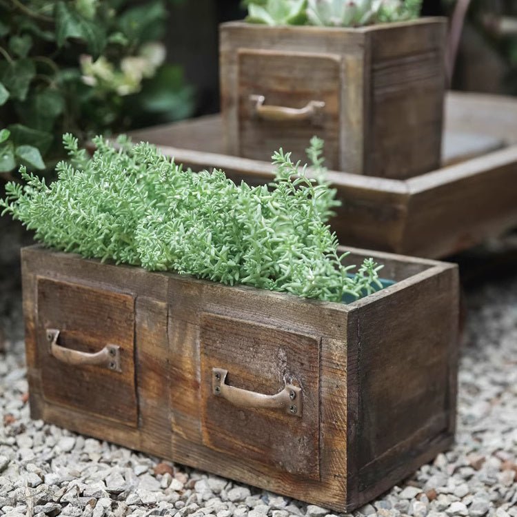 Cassetta in legno stile rustico per piante grasse o fiori
