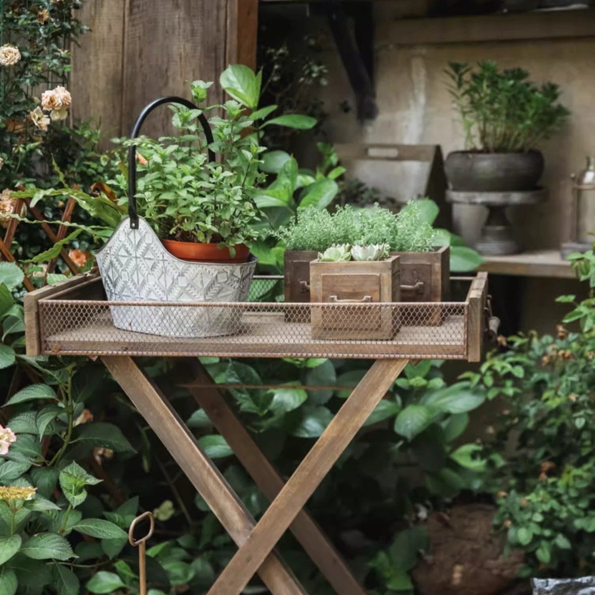 Cassetta in legno stile rustico per piante grasse o fiori