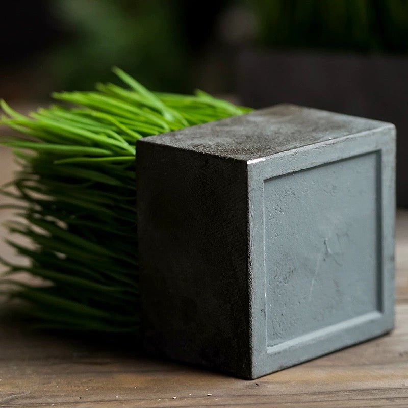 Erba finta in vaso nero