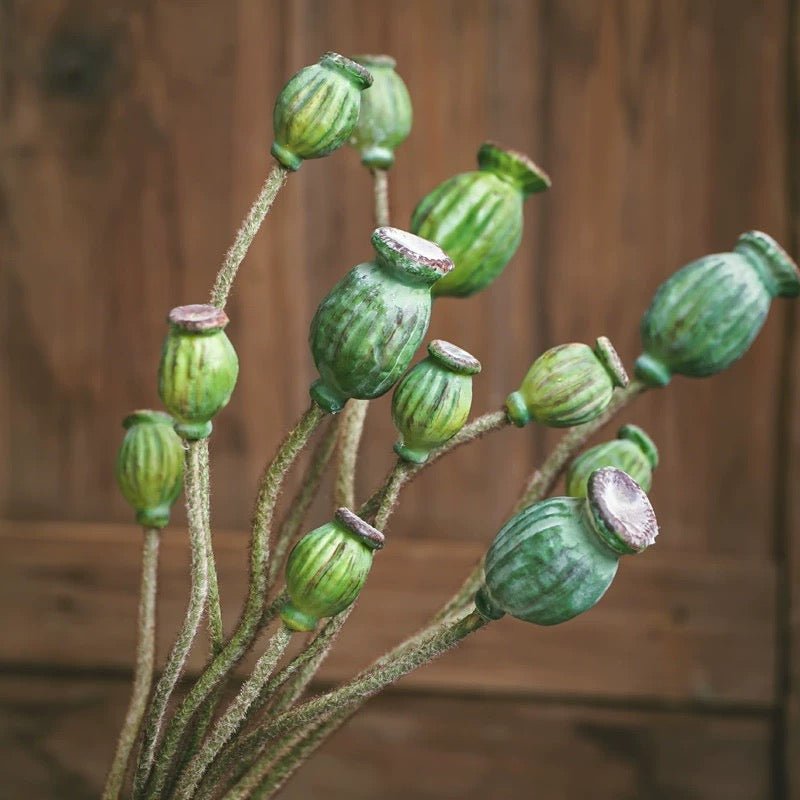 Fleurs de pavot vert sur tige fruitière, 30,7 po de haut, lot de 3 tiges