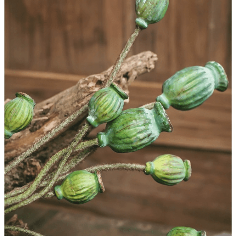 Fleurs de pavot vert sur tige fruitière, 30,7 po de haut, lot de 3 tiges