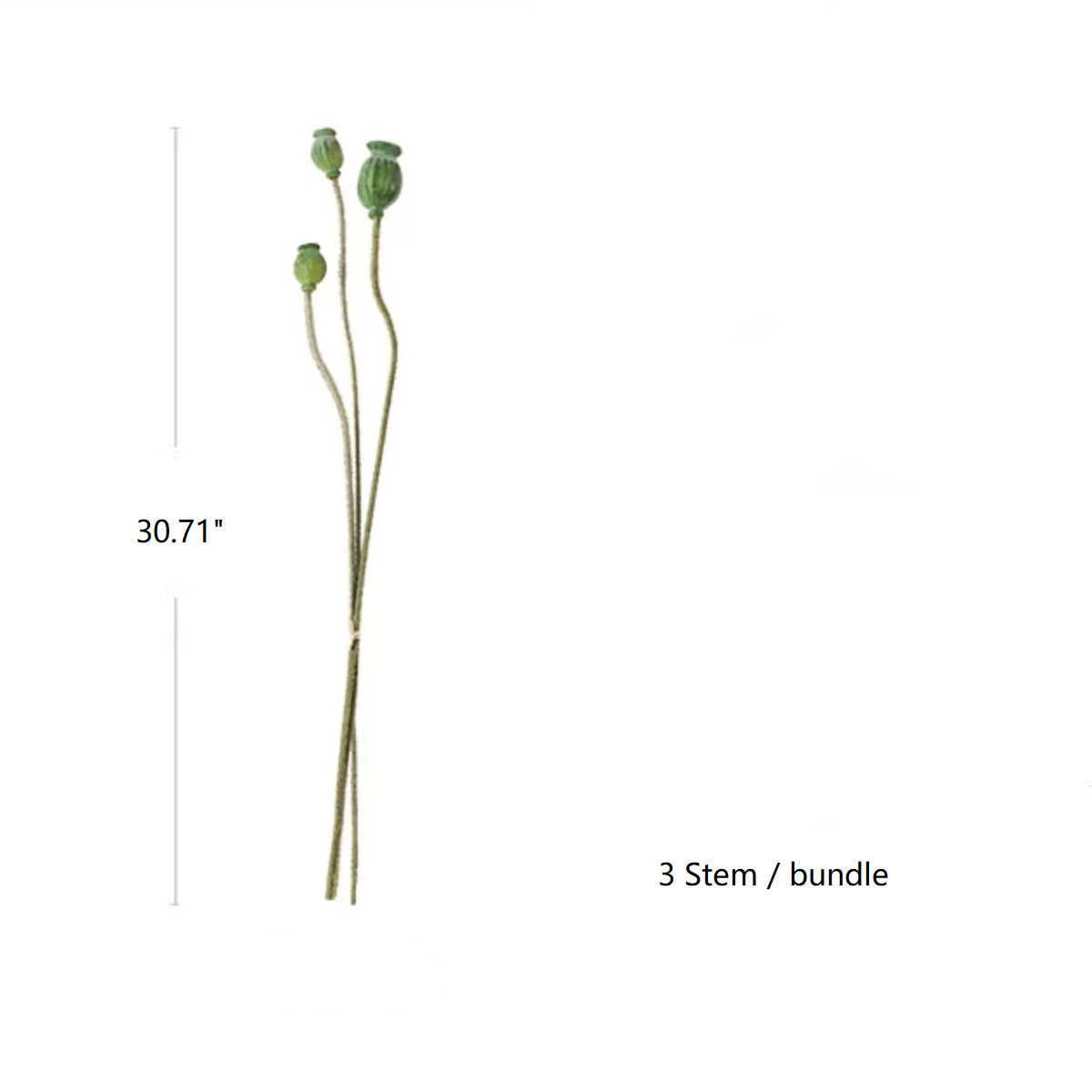 Fleurs de pavot vert sur tige fruitière, 30,7 po de haut, lot de 3 tiges