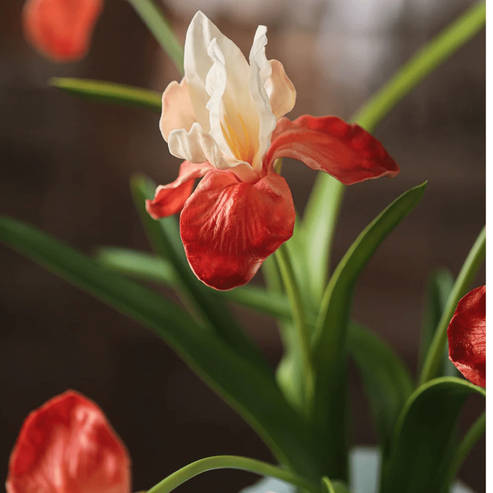Fiore di iris in seta, altezza 56 cm