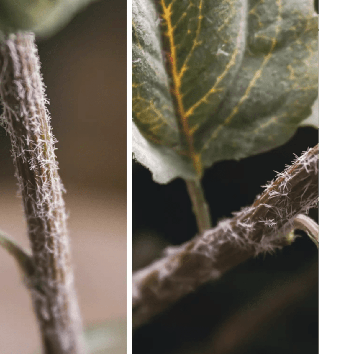 Tige de tournesol artificielle à petite tête, hauteur 23,6 po