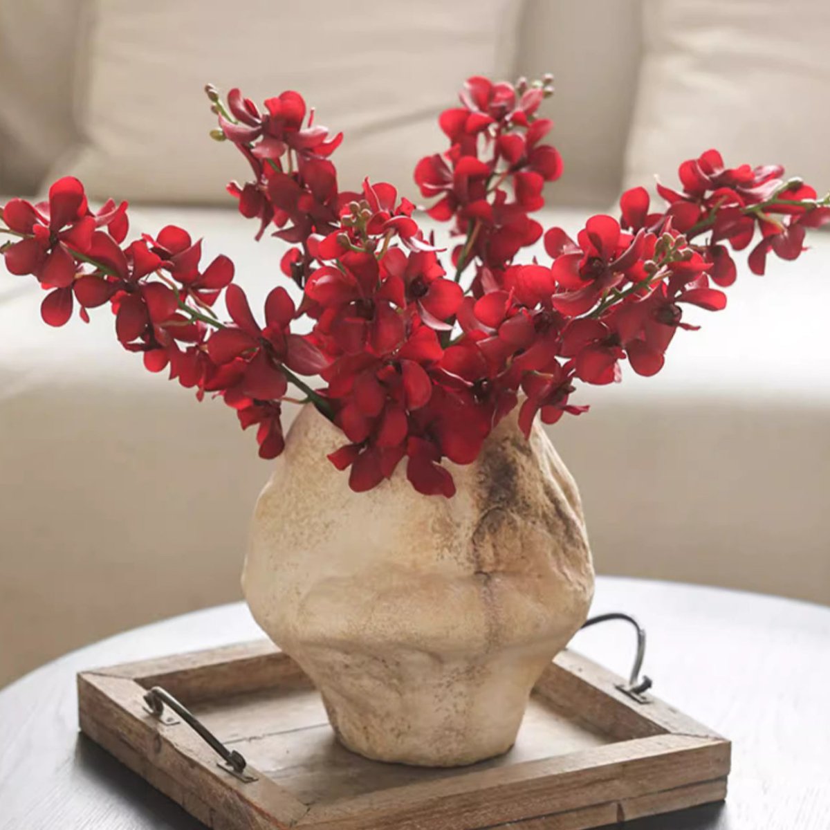 Stelo singolo di orchidea rossa, altezza 60 cm