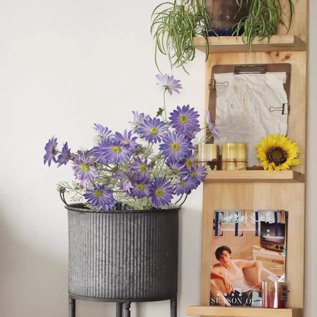 Tige de chrysanthème d'été violette de 60 cm de hauteur
