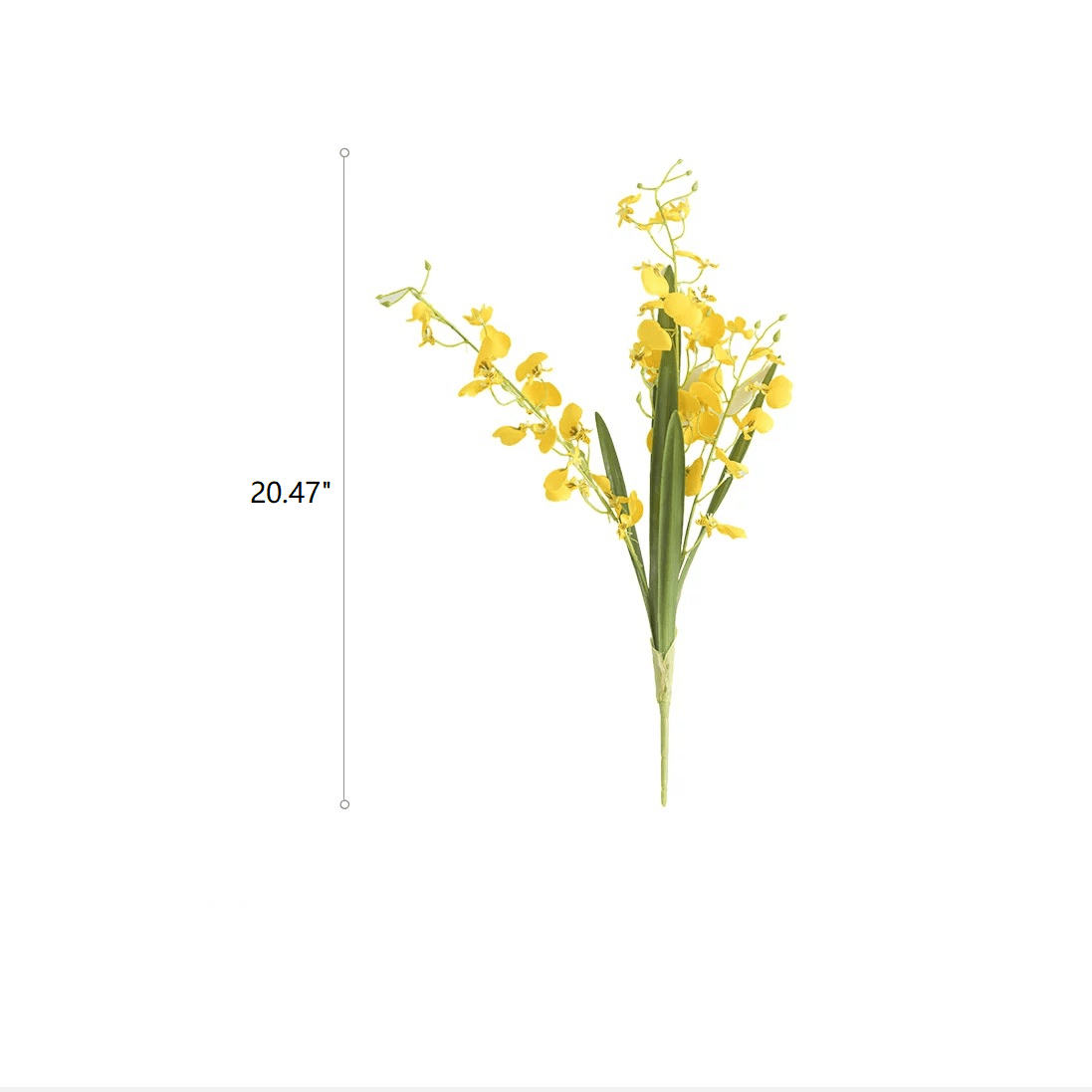 Stelo di orchidea ballerina Wendy's, altezza 20,5"