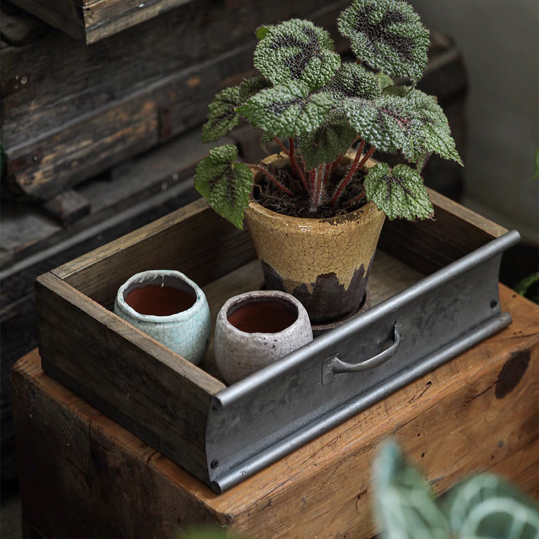 Jardinière rustique en bois et métal pour le jardin