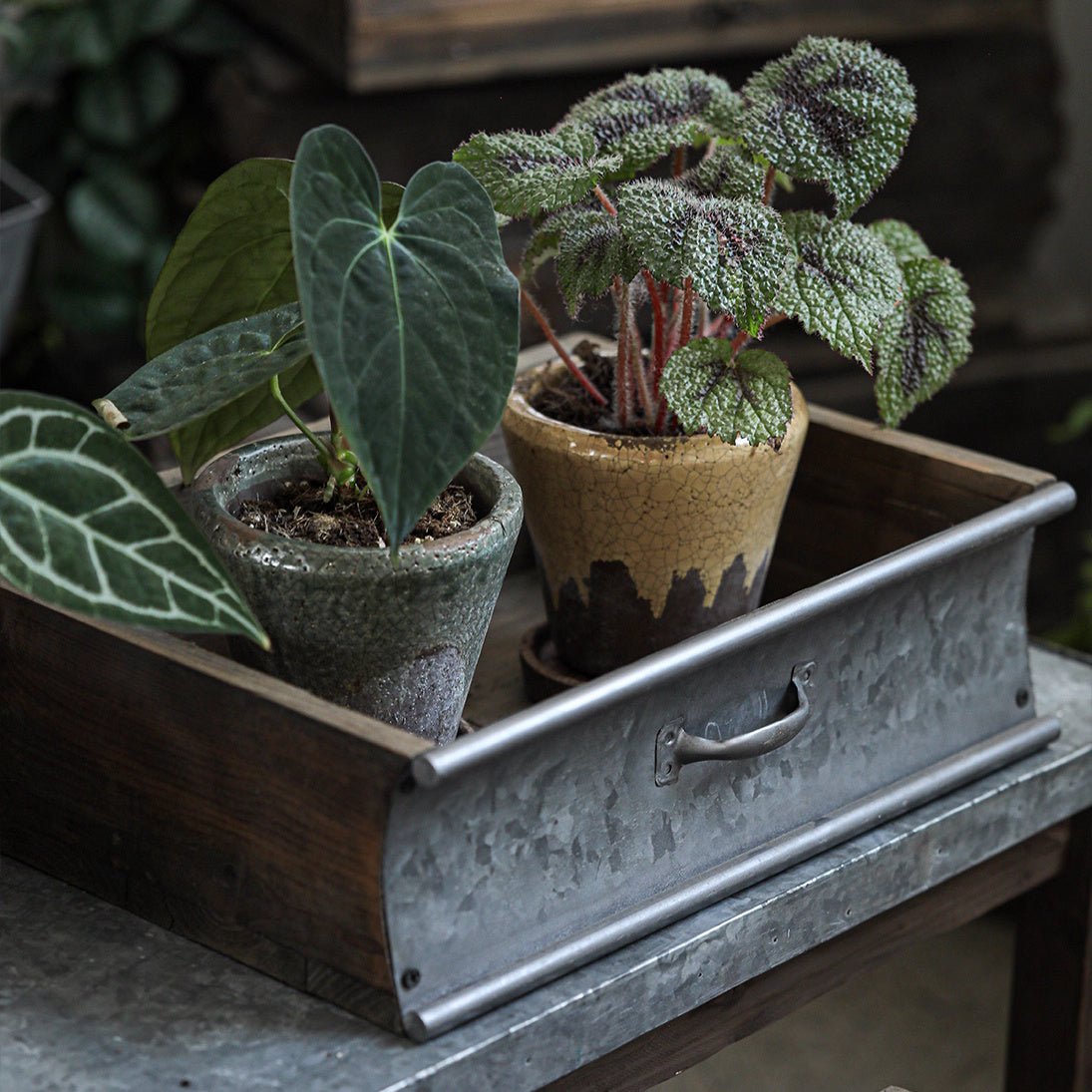 Jardinière rustique en bois et métal pour le jardin