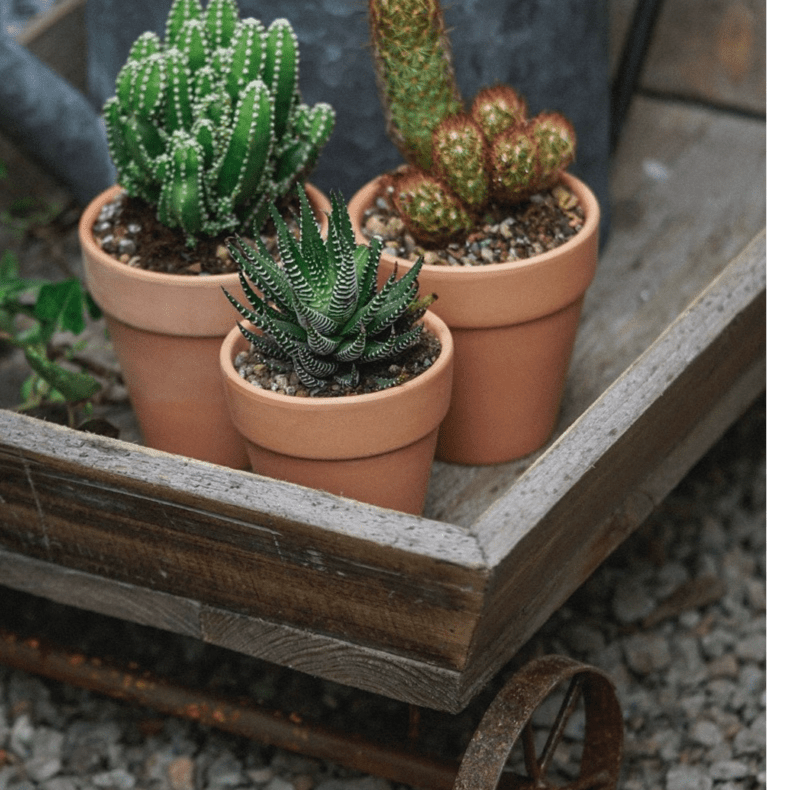 Petit chariot décoratif en bois pour fleurs