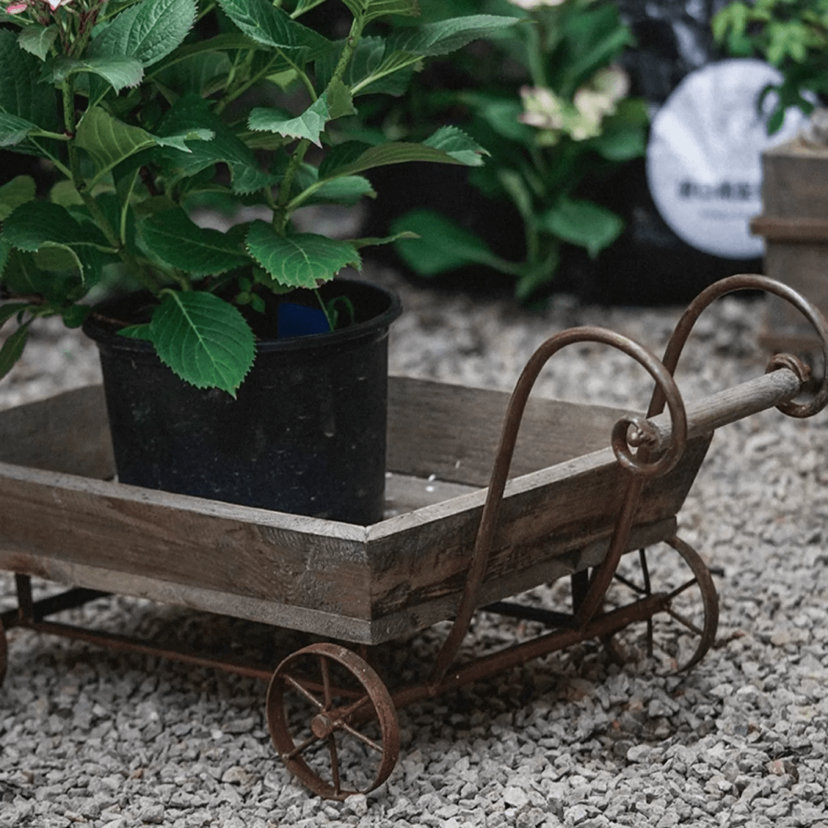 Petit chariot décoratif en bois pour fleurs