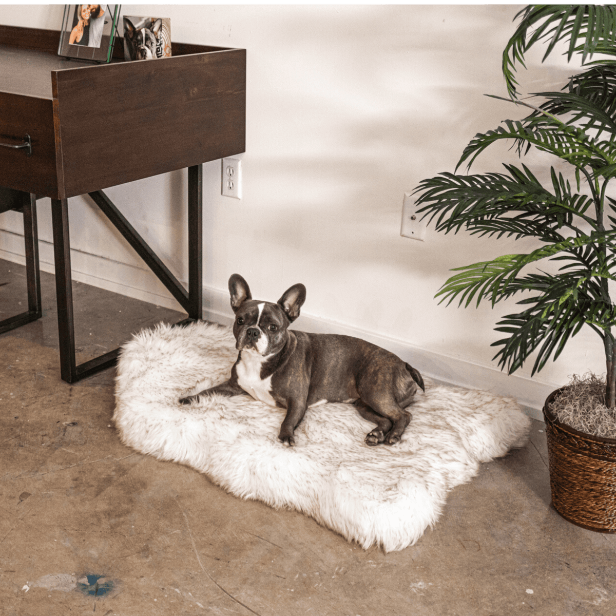 Cuccia ortopedica per cani in pelliccia sintetica PupRug di Paw.com® - Modello Curve bianco con dettagli marroni