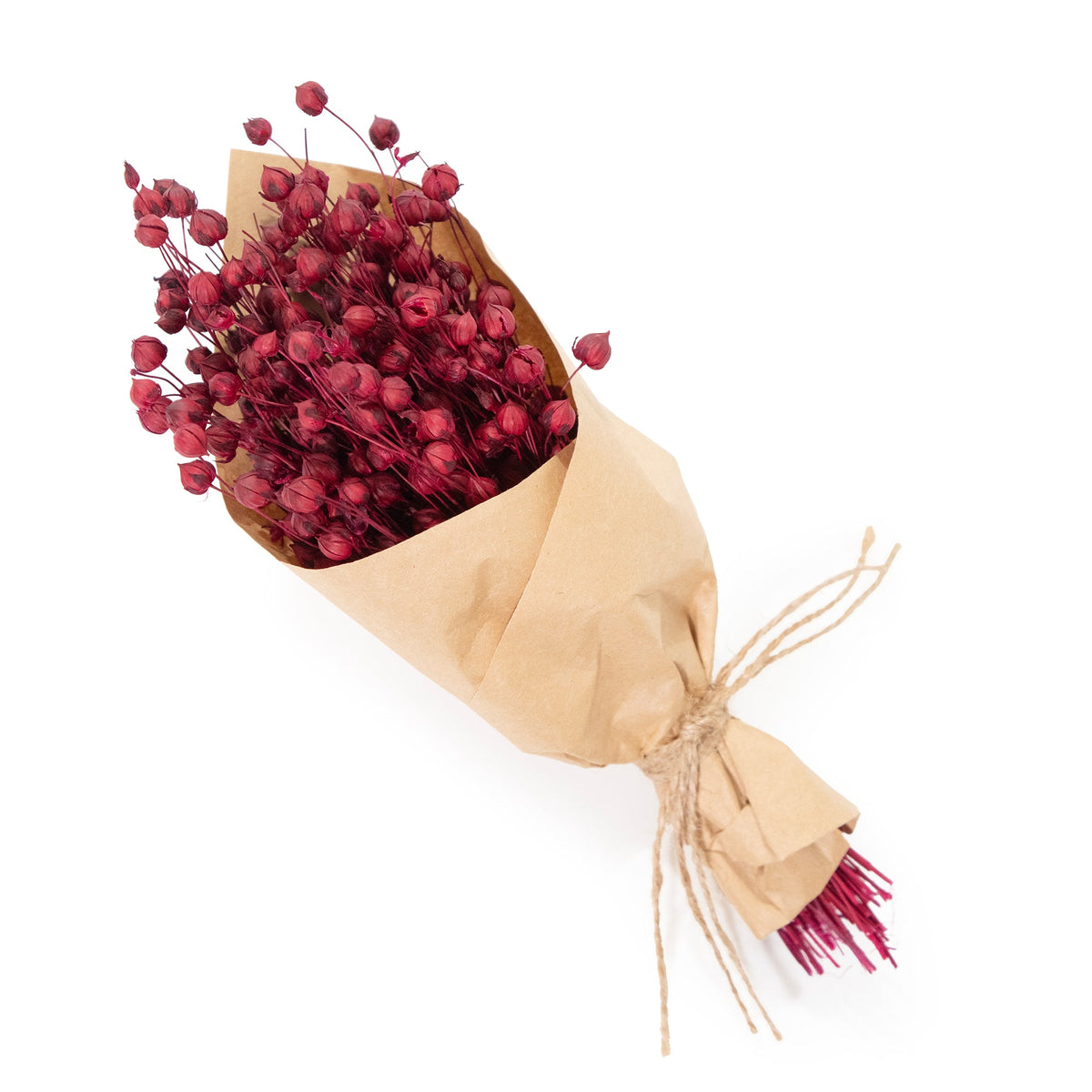 Bundle MINI Merlot Flax