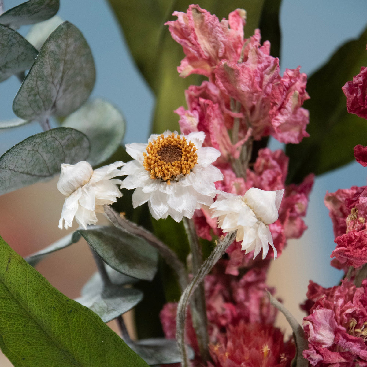 Mini bouquet di eucalipto e speronella rosa