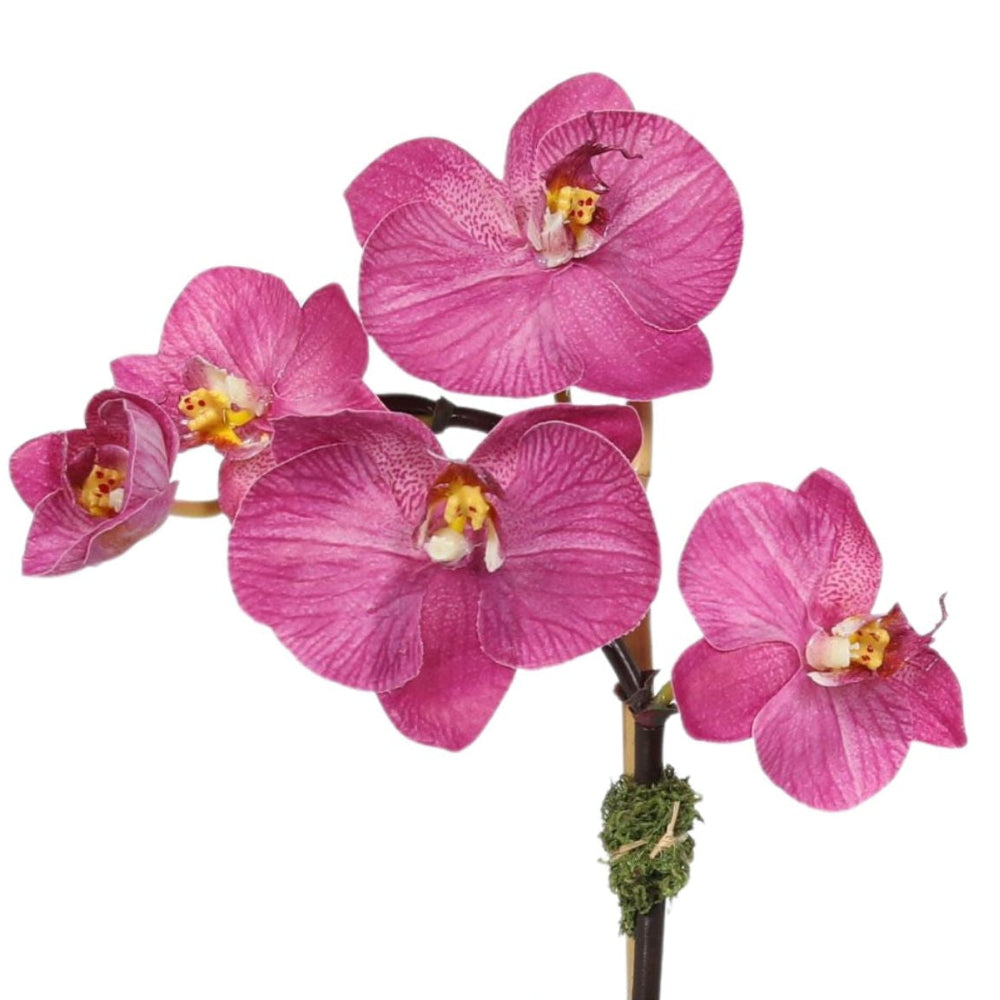 Orchidea finta in vaso di vetro