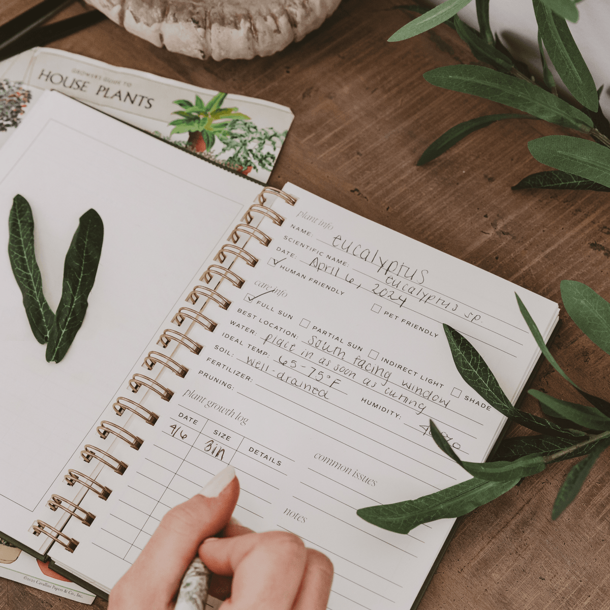 Journal de jardinage