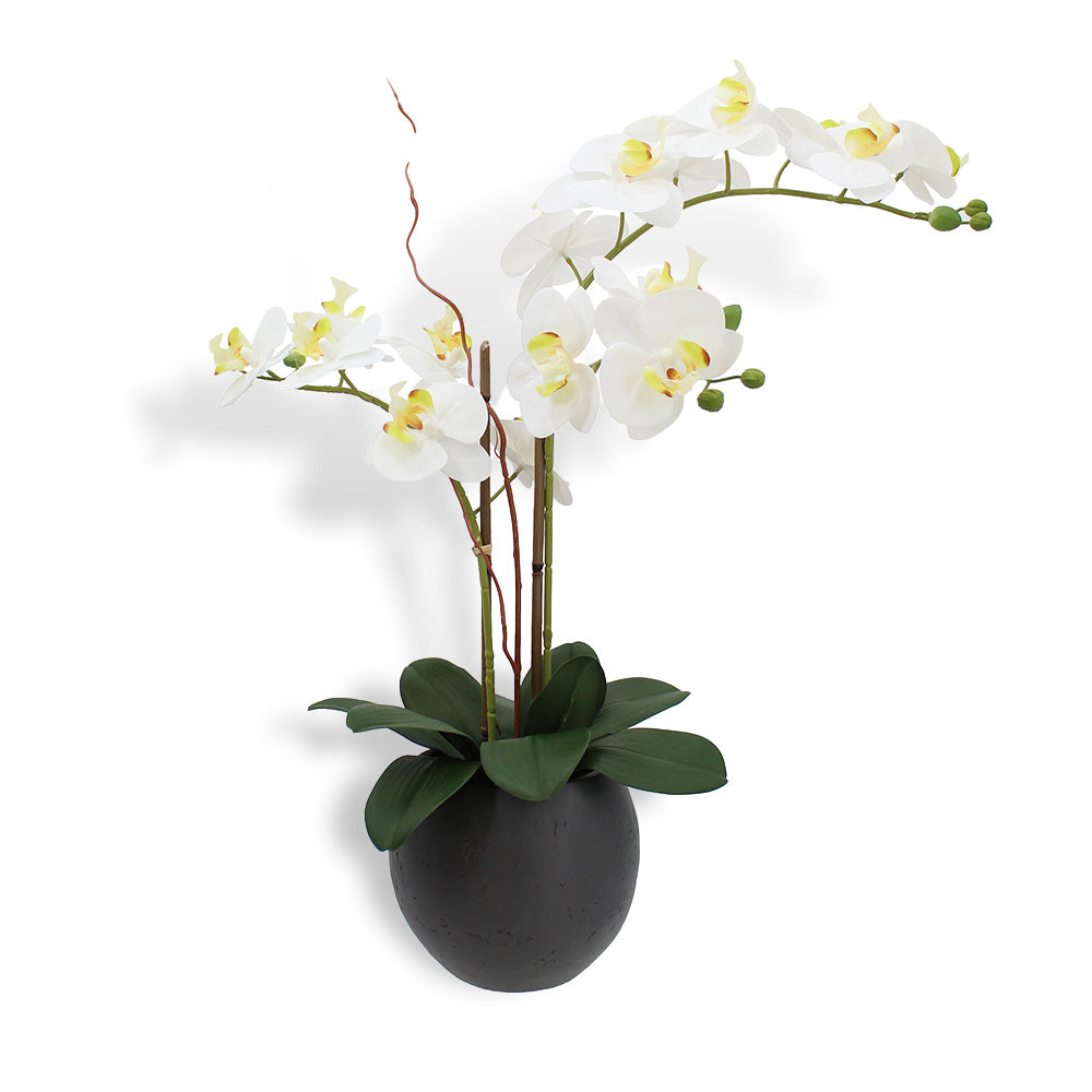 Orchidea bianca artificiale a doppio stelo