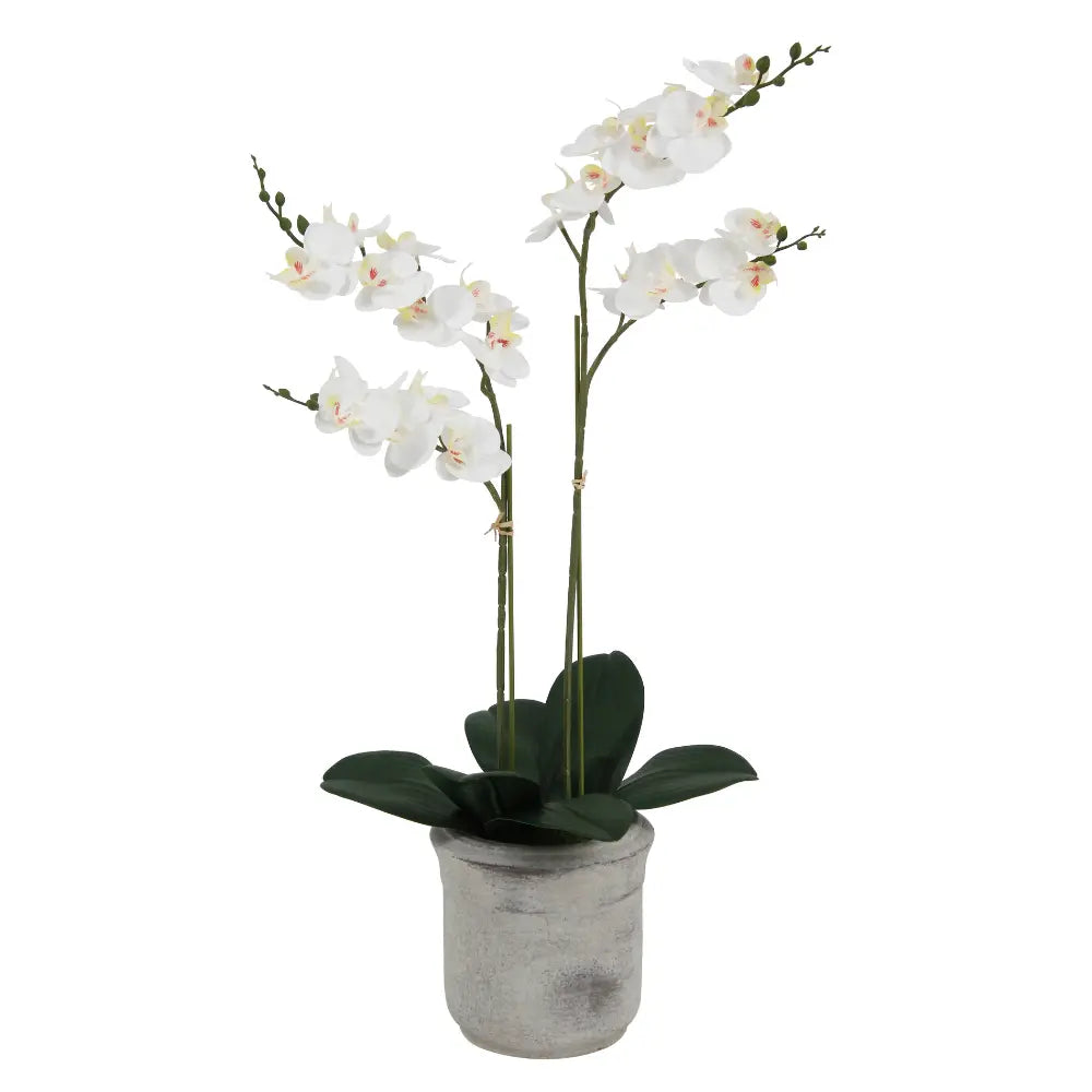 Orchidea Phalaenopsis artificiale bianca a 2 steli
