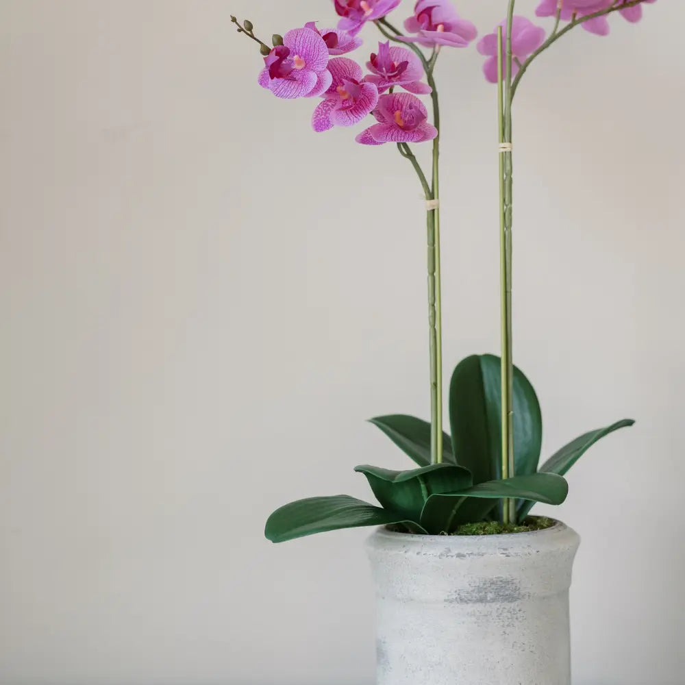 Orchidea Phalaenopsis artificiale rosa a 2 steli