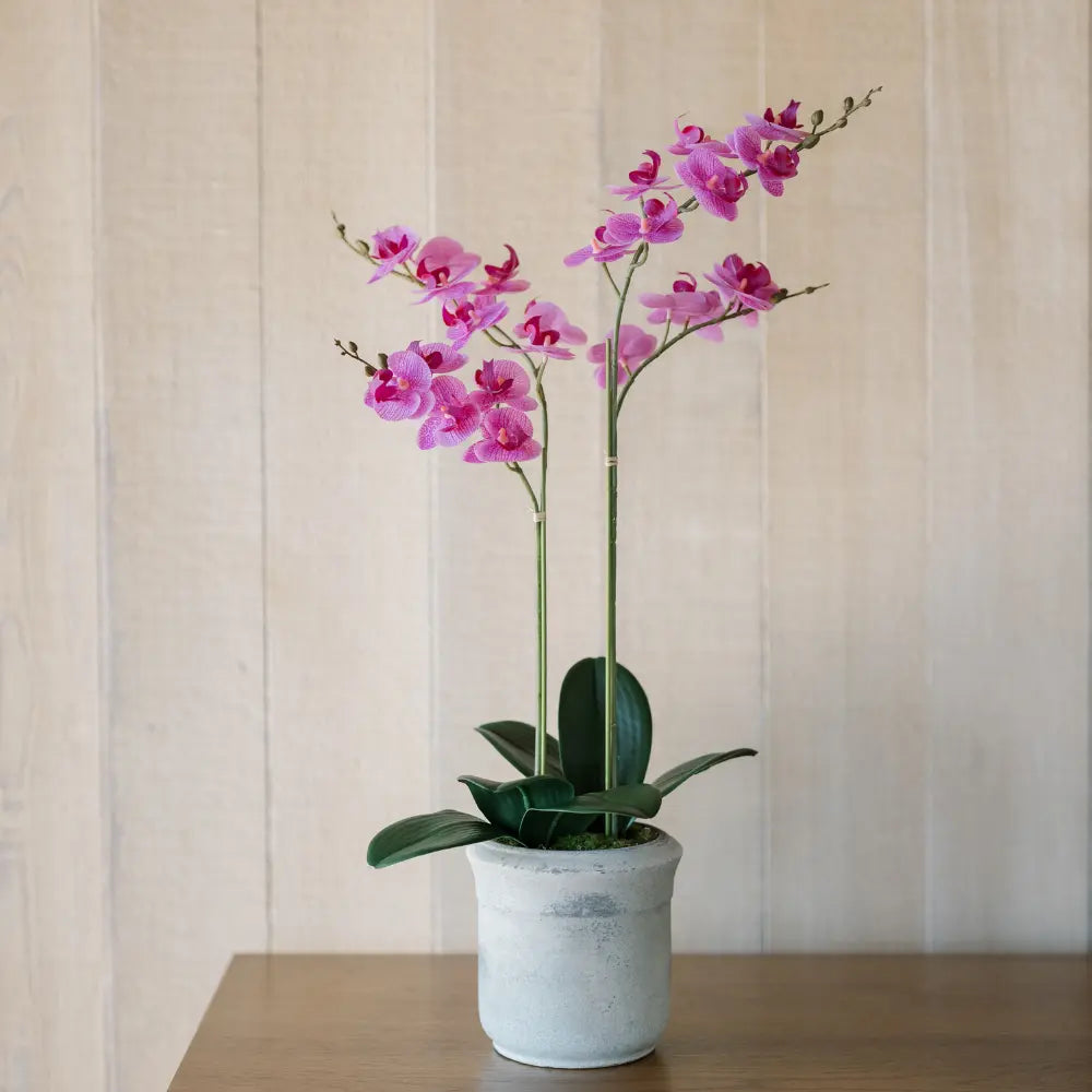 Orchidea Phalaenopsis artificiale rosa a 2 steli