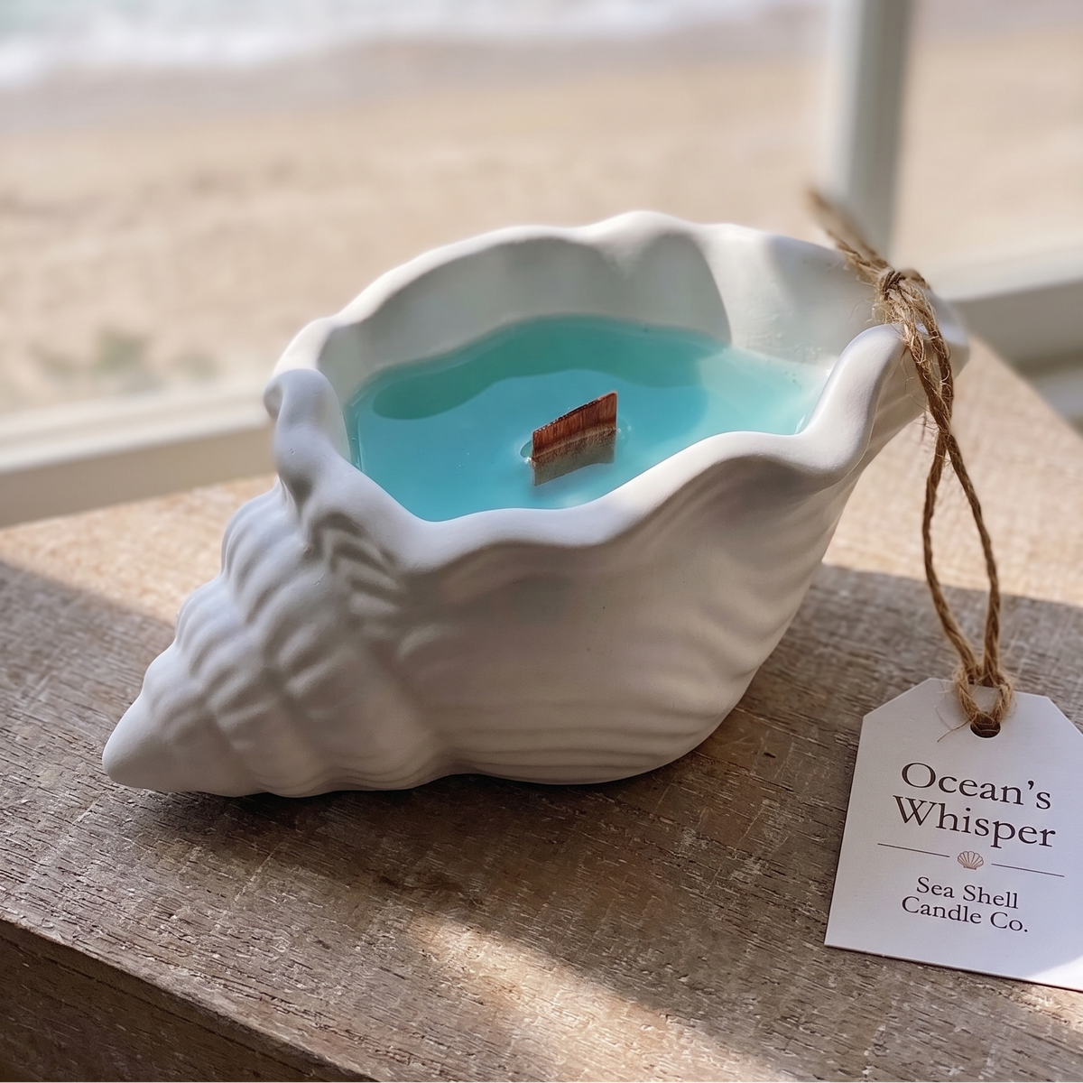Candela a forma di conchiglia Ocean's Whisper | Contenitore in Jesmonite