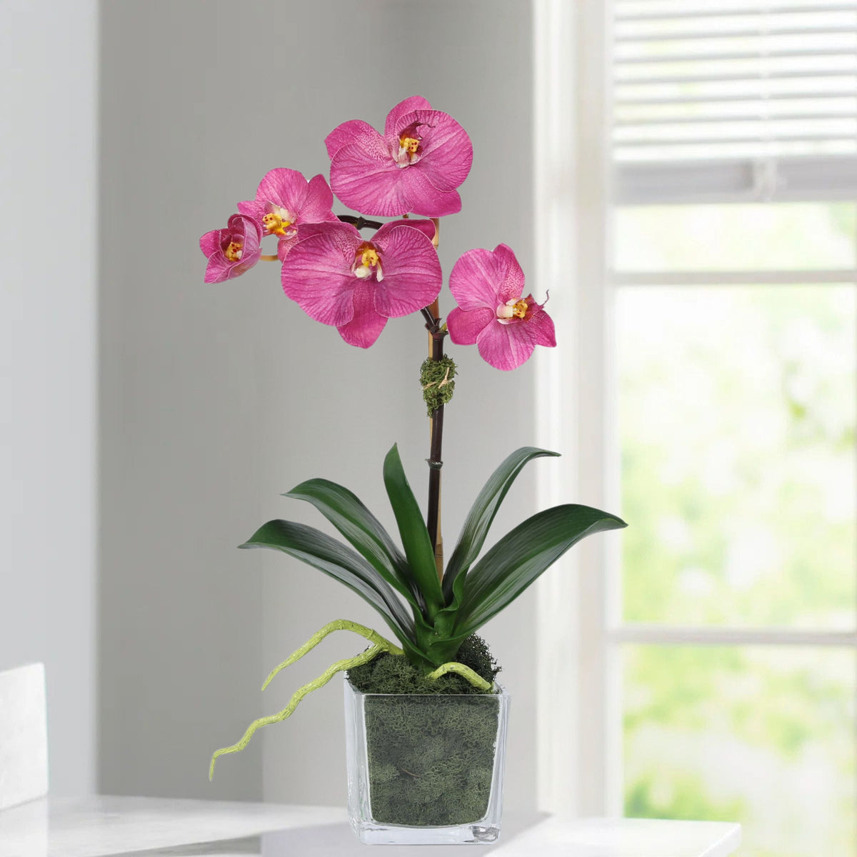 Mini composition d'orchidées dans un vase carré en verre
