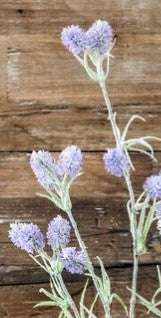 Fleurs Puff, options de couleur