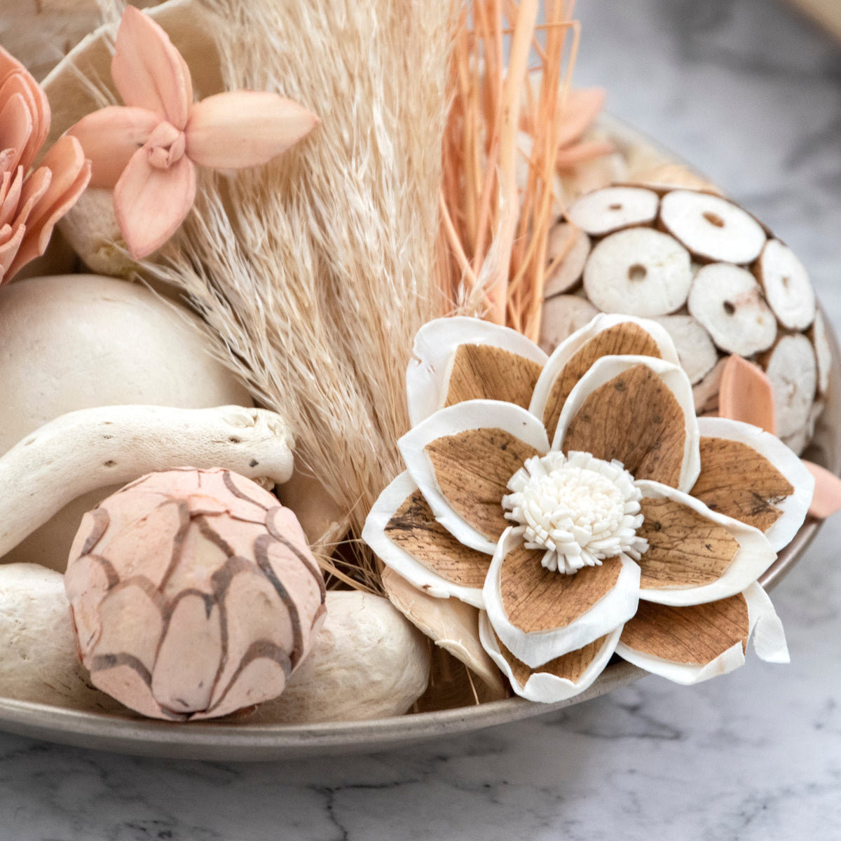 Pot-pourri en boîte herbe de la pampa et épices vanillées