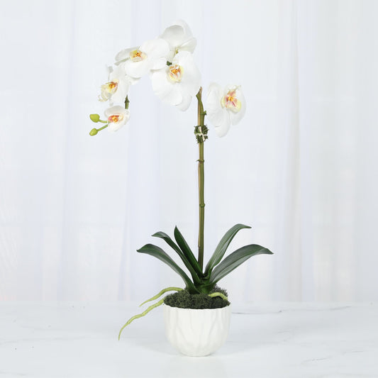 Faux Orchid Plant in White Vase - 18"